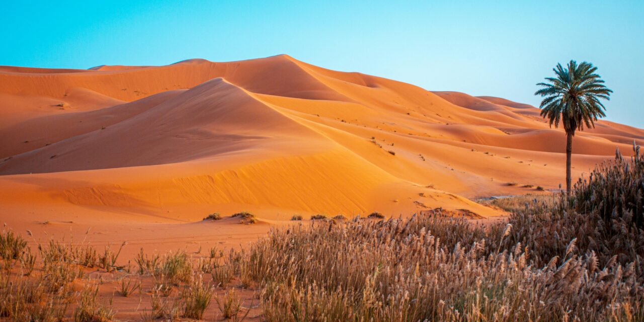 Discover Morocco with your expert Travel Tours Agent