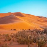 discover 12 days morocco tour