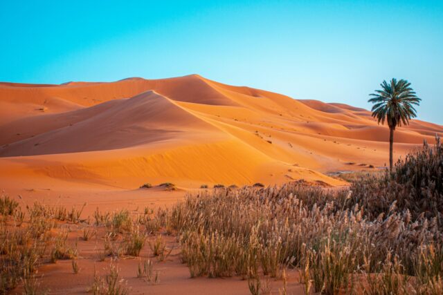 discover 12 days morocco tour